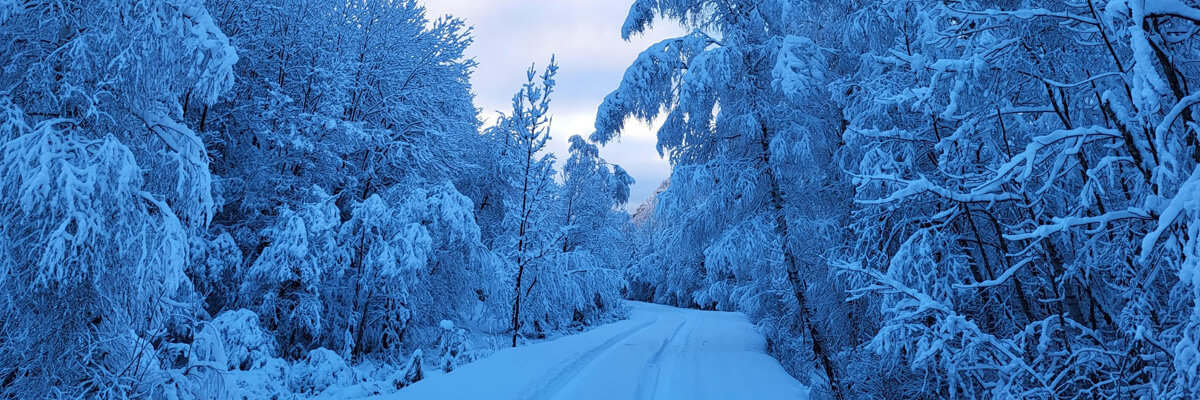 Vue Neige Web